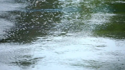 Video Stock Closeup Of Rain In The Asphalt Live Wallpaper For PC - Live Wallpaper