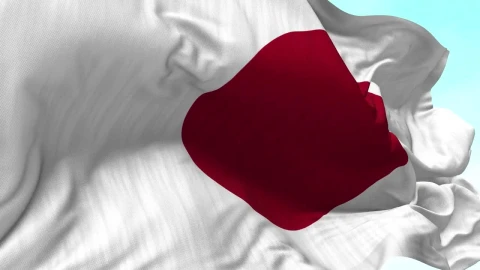 Video Stock Closeup Of Japan Flag Waving In Wind Live Wallpaper For PC - Birds of prey Wallpaper
