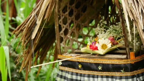 Video Stock Closeup Of Incense And Offering In A Garden Live Wallpaper For PC - Birds of prey Wallpaper