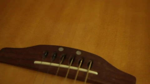 Video Stock Closeup Of Guitar Strings Live Wallpaper For PC - Birds of prey Wallpaper