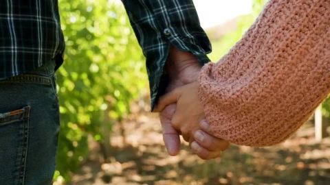 Video Stock Closeup Of Couple Holding Hands Live Wallpaper For PC - Birds of prey Wallpaper