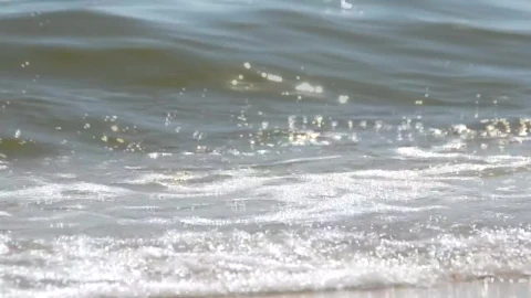 Video Stock Closeup Of Breaking Waves Live Wallpaper For PC - Birds of prey Wallpaper