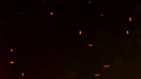 Video Stock Closeup Of Beer Bubbles Live Wallpaper For PC - Birds of prey Wallpaper