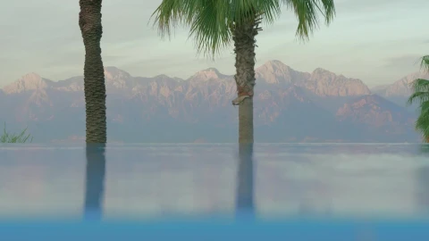 Video Stock Closeup Of An Infinity Pool Live Wallpaper For PC - Birds of prey Wallpaper