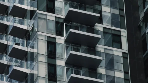 Video Stock Closeup Of A Minimalist Building Live Wallpaper For PC - Birds of prey Wallpaper