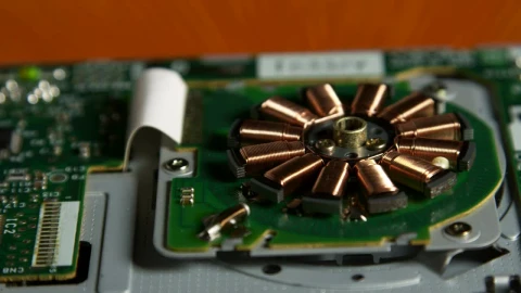 Video Stock Closeup Of A Circuit Live Wallpaper For PC - Birds of prey Wallpaper