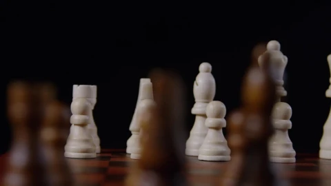 Video Stock Closeup Of A Chess Table Live Wallpaper For PC - Birds of prey Wallpaper