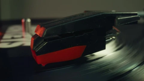 Video Stock Close View Of A Record Rotating On A Turntable Live Wallpaper For PC - Birds of prey Wallpaper