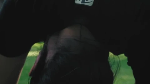 Video Stock Close Up View Of Woman Stretching Before Exercising Live Wallpaper For PC - Birds of prey Wallpaper
