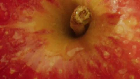 Video Stock Close Up View Of Some Fresh Apples Live Wallpaper For PC - Birds of prey Wallpaper