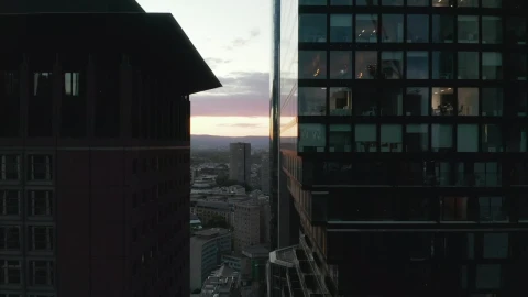 Video Stock Close Up View Of A Building In Frankfurt Live Wallpaper For PC - Birds of prey Wallpaper