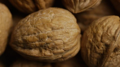 Video Stock Close Up Of Walnuts On Their Shells Live Wallpaper For PC - On Wallpaper