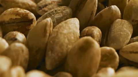 Video Stock Close Shot Of Harvested Grain Live Wallpaper For PC - Of Wallpaper