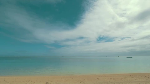 Video Stock Clear Water And Soft Sand Live Wallpaper For PC - Birds of prey Wallpaper