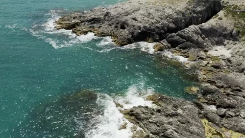 Video Stock Clear Water And Seaweed Covered Rocks Live Wallpaper For PC - Live Wallpaper