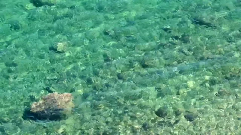 Video Stock Clear Sea Water Live Wallpaper For PC - Live Wallpaper