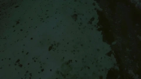 Video Stock Clear Ocean Waters Off Mauritius Island Live Wallpaper For PC - Live Wallpaper