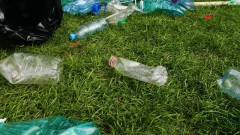 Video Stock Cleaning The Park Grass From Plastic Waste Live Wallpaper For PC - The walking dead Wallpaper