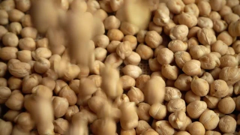 Video Stock Chickpeas Falling Onto A Table Live Wallpaper For PC animated wallpaper preview