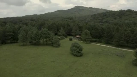 Video Stock Car Crossing A Meadow In The Middle Of A Large Smal Live Wallpaper For PC - Of Wallpaper