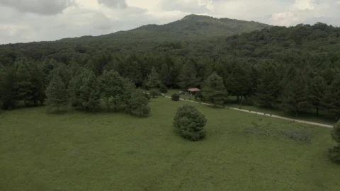 Video Stock Car Crossing A Meadow In The Middle Of A Large Live Wallpaper For PC - Of Wallpaper