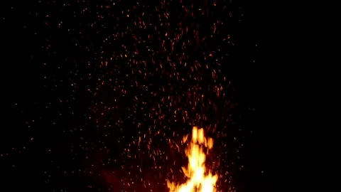 Video Stock Campfire In The Dark Live Wallpaper For PC - The walking dead Wallpaper