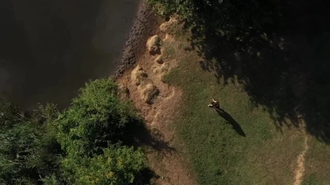 Stock Video Dancing By The River Live Wallpaper For PC - The walking dead Wallpaper