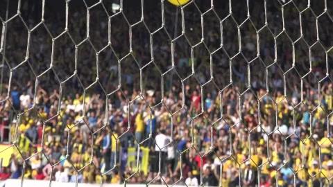 Stock Video Crowd Cheering At The Stadium Live Wallpaper For PC - Stock Video Ice Cubes Thawing On Black Background Animated Wallpaper Wallpaper
