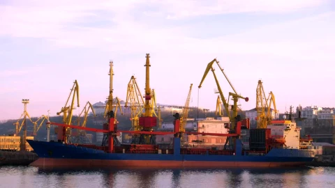 Stock Video Cranes In Motion At The Trading Port Live Wallpaper For PC - The walking dead Wallpaper