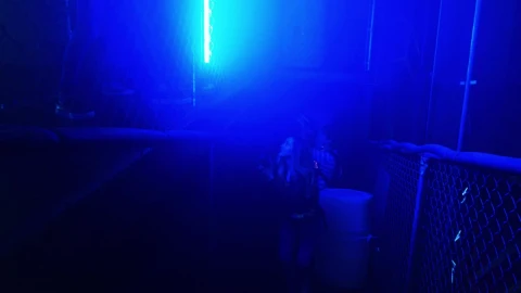 Stock Video Couple Of Young Guys Playing Laser Tag Live Wallpaper For PC animated wallpaper preview