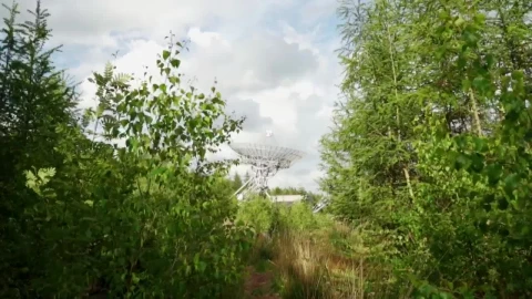 Stock Video Communications Antenna In The Distance Seen From The Undergrowth Live Wallpaper For PC - Live desktop wallpaper Wallpaper
