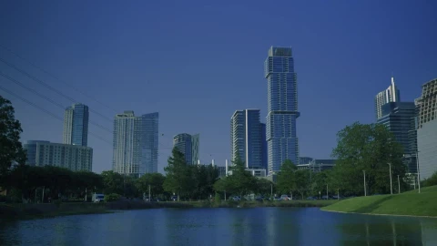 Stock Video Ducks In A Natural Park Of A Big City Live Wallpaper For PC - Pc Wallpaper
