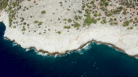 Stock Video Dry Plants Growing Along The Coast Live Wallpaper For PC - Pc Wallpaper