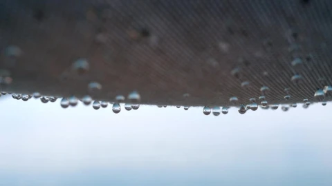 Stock Video Drops Of Rain Falling Through Fabric Live Wallpaper For PC - Pc Wallpaper