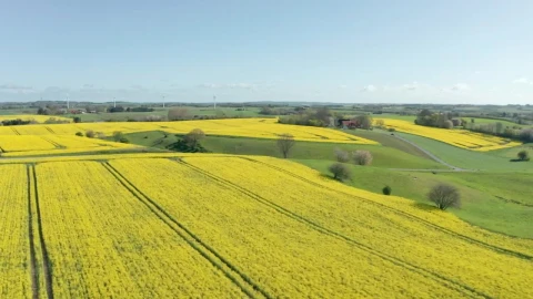 Stock Video Drone Flying High Over Crops Live Wallpaper For PC - Pc Wallpaper
