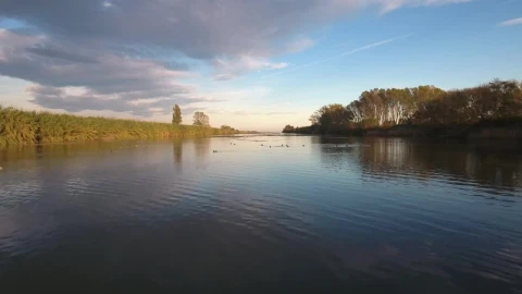 Stock Video Flying Low Over A Gentle River Live Wallpaper For PC animated wallpaper preview