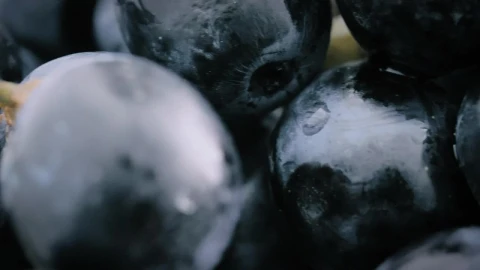 Stock Video Grapes In Their Bunch Live Wallpaper For PC animated wallpaper preview