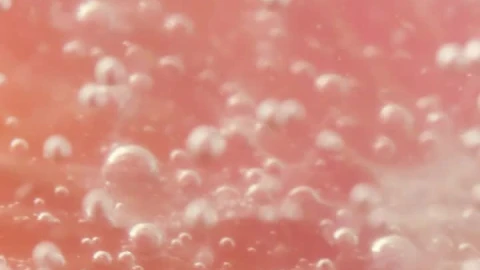 Stock Video Grapefruit Dipped In Soda Live Wallpaper For PC animated wallpaper preview