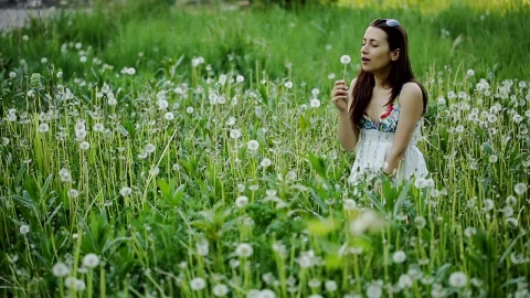 Stock Video Girl Blowing A Dandelion In A Crowded Meadow Live Wallpaper For PC - Live Wallpaper