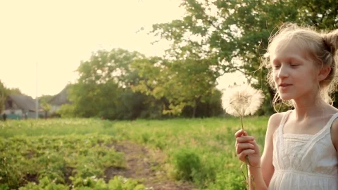 Stock Video Girl Blowing A Dandelion Flower Live Wallpaper For PC - Live Wallpaper