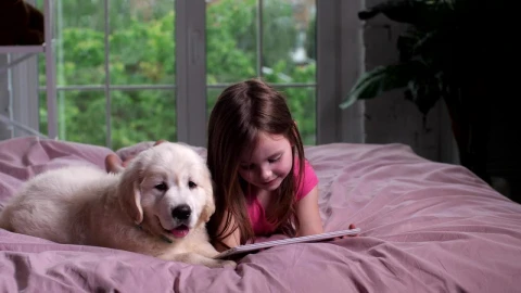 Stock Video Girl And Her Puppy Watching Videos Live Wallpaper For PC - Live Wallpaper