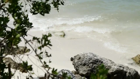 Stock Video Gentle Waves On The Beach And A Rock Live Wallpaper For PC - Live Wallpaper