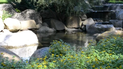 Stock Video Gentle Stream In A Public Garden Live Wallpaper For PC - Live Wallpaper