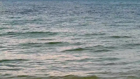 Stock Video Gentle Sea Water Near The Shore Live Wallpaper For PC - Live Wallpaper