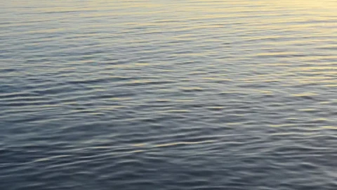 Stock Video Gentle Ripples Across The Water Live Wallpaper For PC - Live Wallpaper