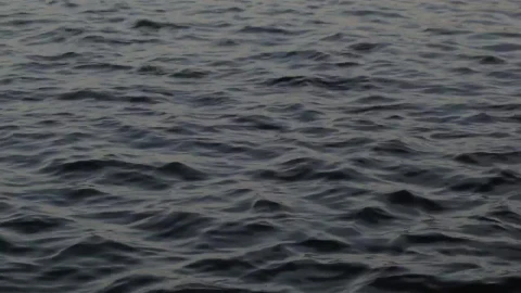 Stock Video Gentle Ripples Across A Harbor Live Wallpaper For PC - Live Wallpaper