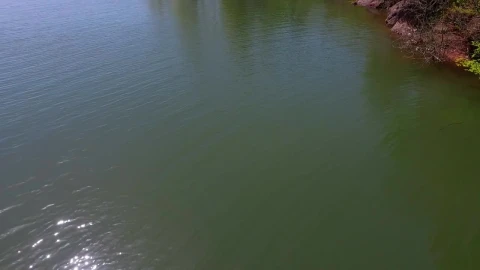Stock Video Gentle Lake And Vibrant Forests Live Wallpaper For PC - Live Wallpaper