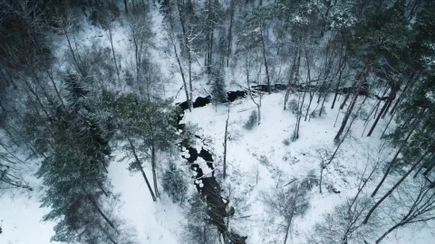 Stock Video Frozen Forest From Above Live Wallpaper For PC - Live Wallpaper