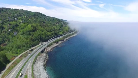 Stock Video Highway Road Between The Blue Ocean And The Forest Animated Wallpaper - Animated Wallpaper