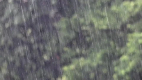 Stock Video Heavy Rain Falling Animated Wallpaper - Animated Wallpaper